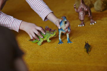 Child playing with toy dinosaurs