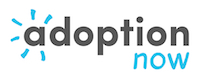 Logo of Adoption Now